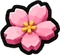 Bloom mutation icon in Steal an Egg