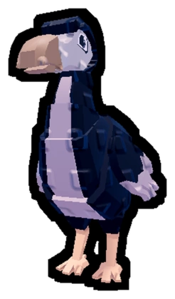 Dodo, a pet in Steal an Egg