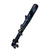 Prehistoric Bat, a weapon in Steal an Egg